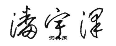 骆恒光潘宇泽草书个性签名怎么写