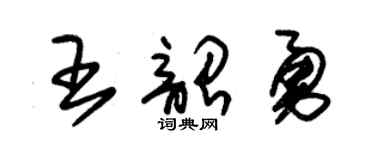 朱锡荣王韶勇草书个性签名怎么写