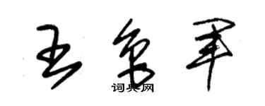 朱锡荣王鲁军草书个性签名怎么写