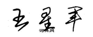 朱锡荣王星军草书个性签名怎么写