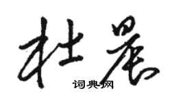 骆恒光杜晨草书个性签名怎么写