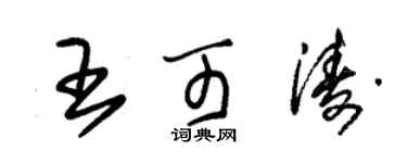 朱锡荣王可涛草书个性签名怎么写