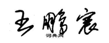 朱锡荣王鹏宸草书个性签名怎么写