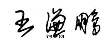 朱锡荣王谦鹏草书个性签名怎么写