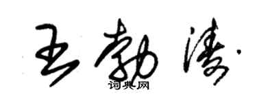 朱锡荣王勃涛草书个性签名怎么写