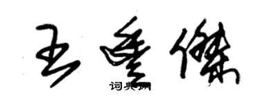 朱锡荣王丰杰草书个性签名怎么写