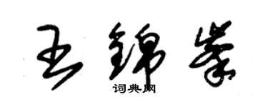 朱锡荣王锦峰草书个性签名怎么写