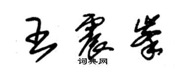 朱锡荣王震峰草书个性签名怎么写