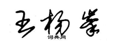朱锡荣王杨峰草书个性签名怎么写