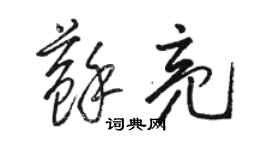 骆恒光苏亮草书个性签名怎么写
