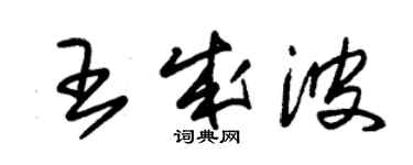 朱锡荣王成波草书个性签名怎么写