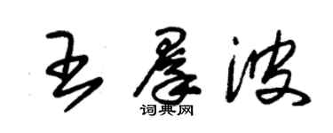 朱锡荣王群波草书个性签名怎么写
