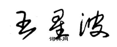 朱锡荣王星波草书个性签名怎么写