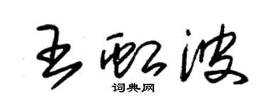 朱锡荣王虹波草书个性签名怎么写