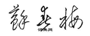 骆恒光苏春梅草书个性签名怎么写