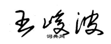 朱锡荣王峻波草书个性签名怎么写