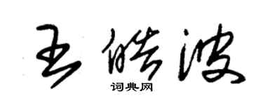 朱锡荣王皓波草书个性签名怎么写