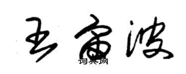 朱锡荣王宙波草书个性签名怎么写