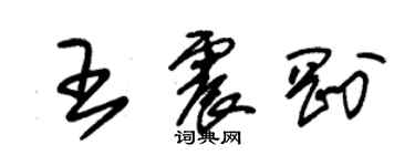 朱锡荣王震刚草书个性签名怎么写
