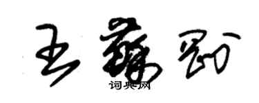 朱锡荣王苏刚草书个性签名怎么写