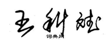 朱锡荣王科斌草书个性签名怎么写