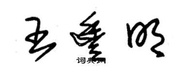 朱锡荣王丰明草书个性签名怎么写