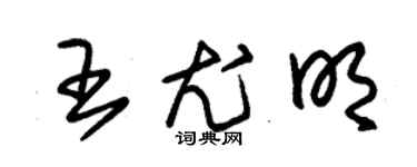 朱锡荣王尤明草书个性签名怎么写