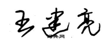朱锡荣王建亮草书个性签名怎么写