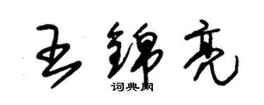 朱锡荣王锦亮草书个性签名怎么写