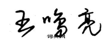 朱锡荣王鸣亮草书个性签名怎么写