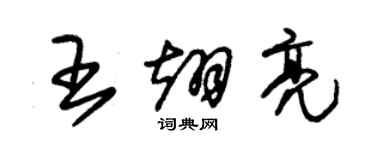朱锡荣王翊亮草书个性签名怎么写