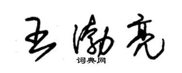 朱锡荣王渤亮草书个性签名怎么写