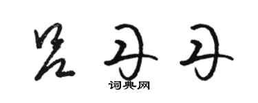 骆恒光吕丹丹草书个性签名怎么写