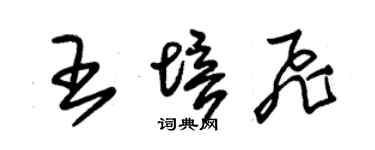 朱锡荣王培飞草书个性签名怎么写