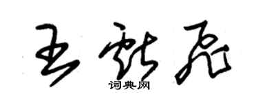 朱锡荣王献飞草书个性签名怎么写
