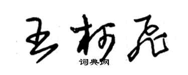 朱锡荣王柯飞草书个性签名怎么写