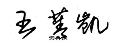 朱锡荣王菁凯草书个性签名怎么写