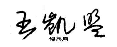 朱锡荣王凯盟草书个性签名怎么写