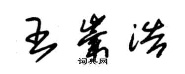 朱锡荣王崇浩草书个性签名怎么写
