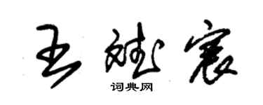 朱锡荣王斌宸草书个性签名怎么写