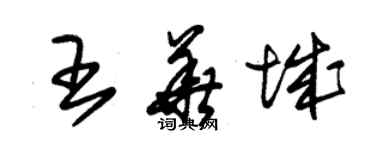 朱锡荣王华城草书个性签名怎么写