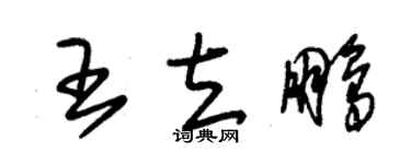 朱锡荣王立鹏草书个性签名怎么写