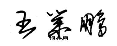 朱锡荣王业鹏草书个性签名怎么写