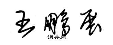 朱锡荣王鹏展草书个性签名怎么写
