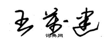 朱锡荣王万建草书个性签名怎么写