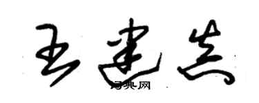 朱锡荣王建真草书个性签名怎么写