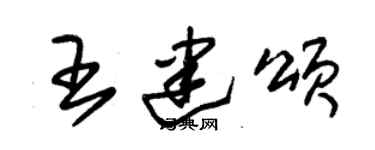 朱锡荣王建颂草书个性签名怎么写