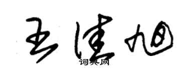 朱锡荣王佳旭草书个性签名怎么写