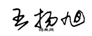 朱锡荣王扬旭草书个性签名怎么写