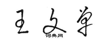 骆恒光王文单草书个性签名怎么写